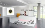 3047 Kasa Bankoları