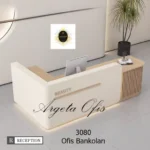 3080 Kasa Bankoları