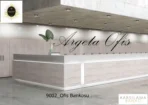 9002 Kasa Bankoları