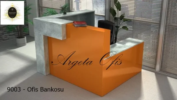 9003 Kasa Bankoları